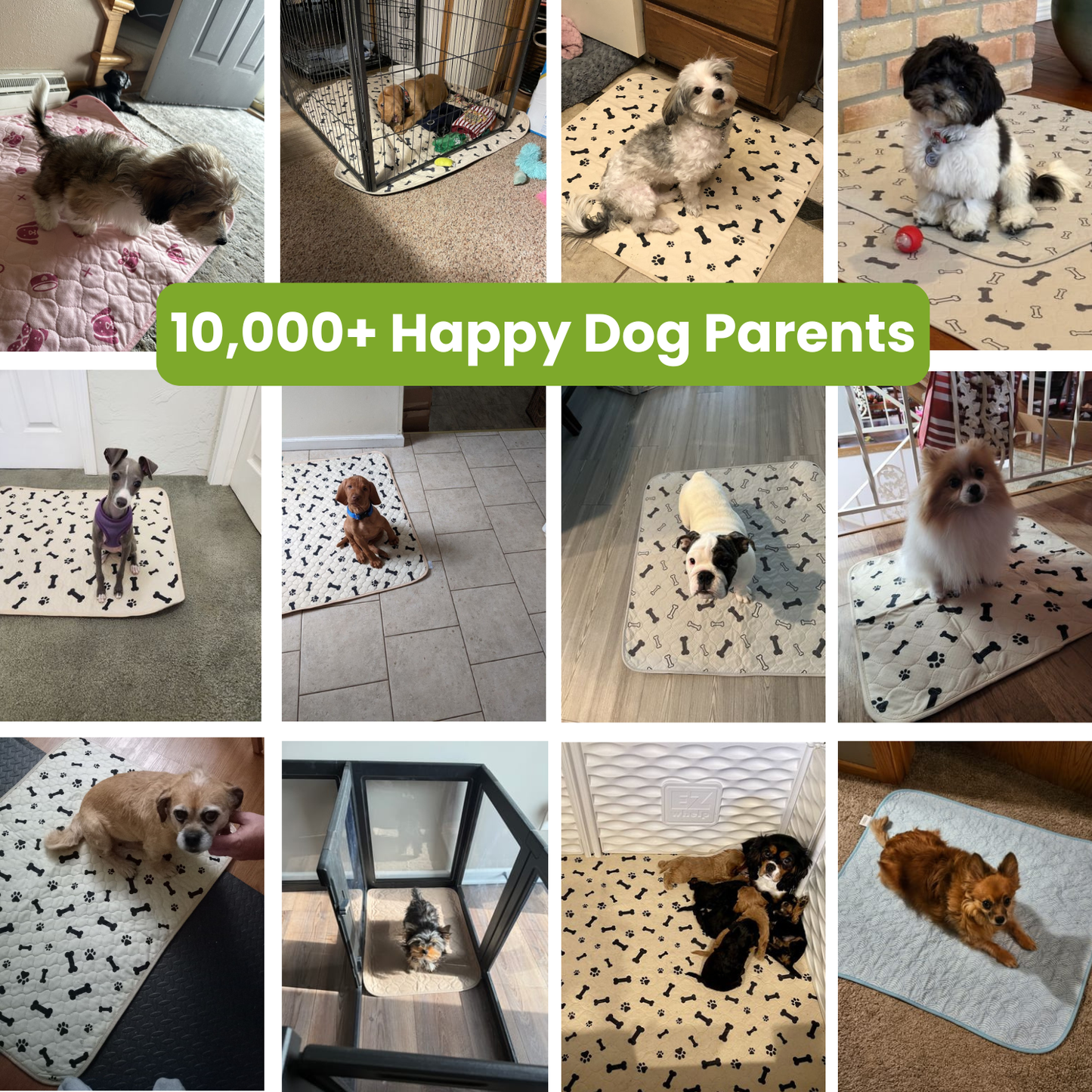 PuddleStop™ The Washable Leak-Proof Puppy Pad