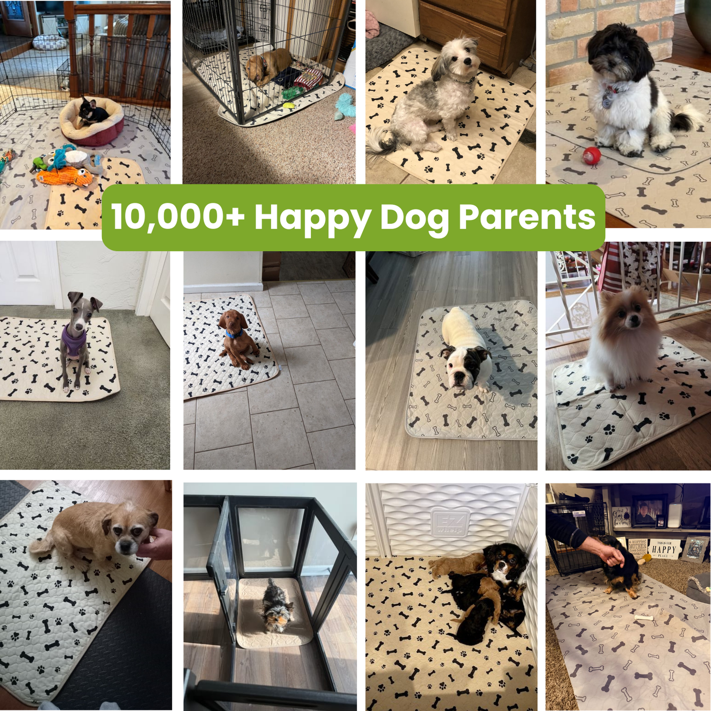 PuddleStop™ The Washable Leak-Proof Puppy Pad